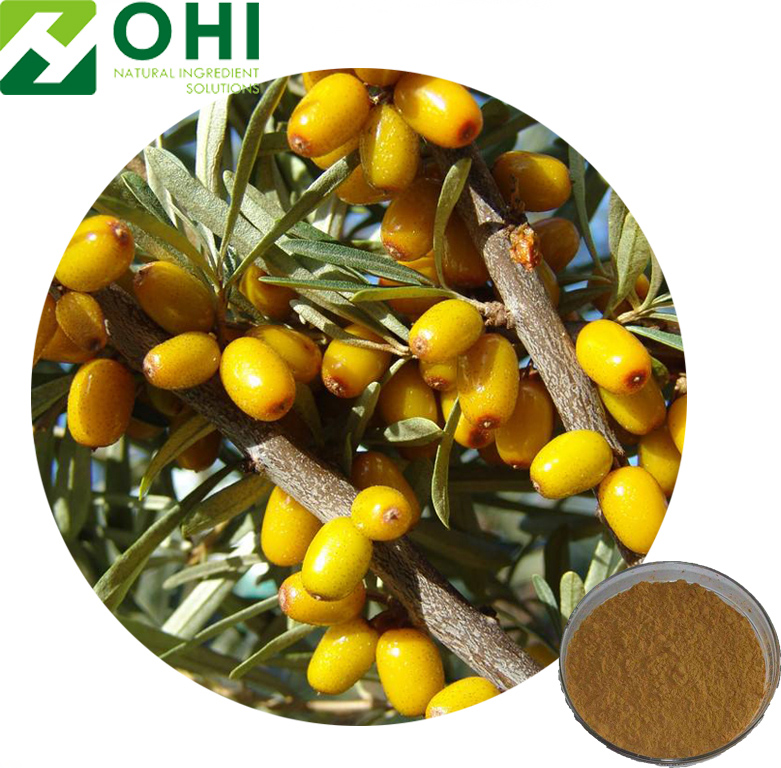 Hippophae rhamnoides L