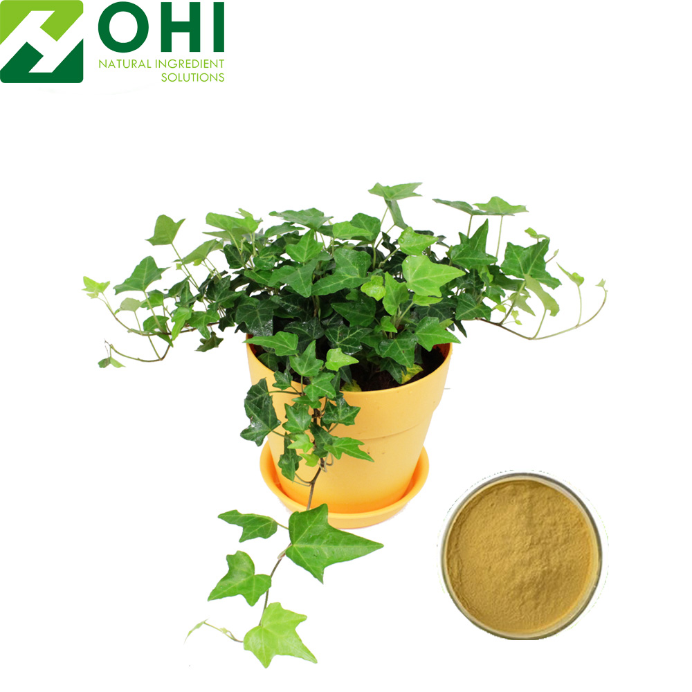 Ivy Leaf Extract