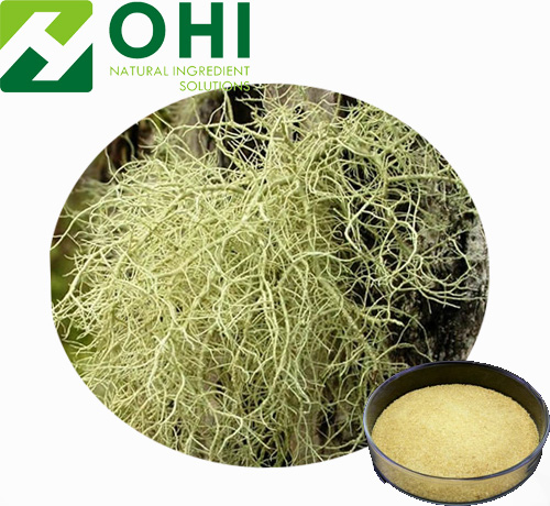 Lichen Usnea Extract