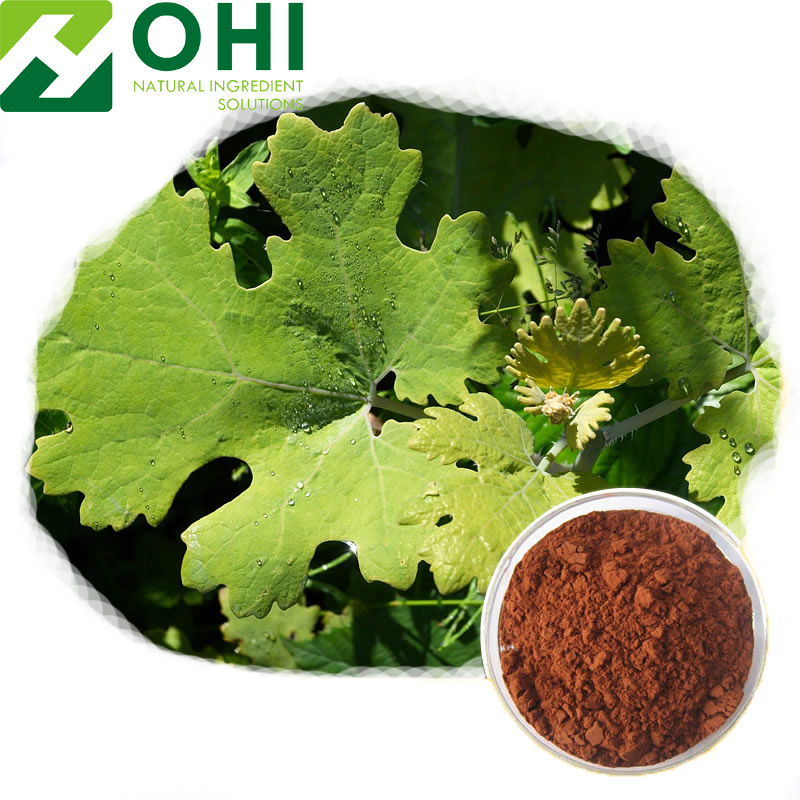 Macleaya cordata Extract 