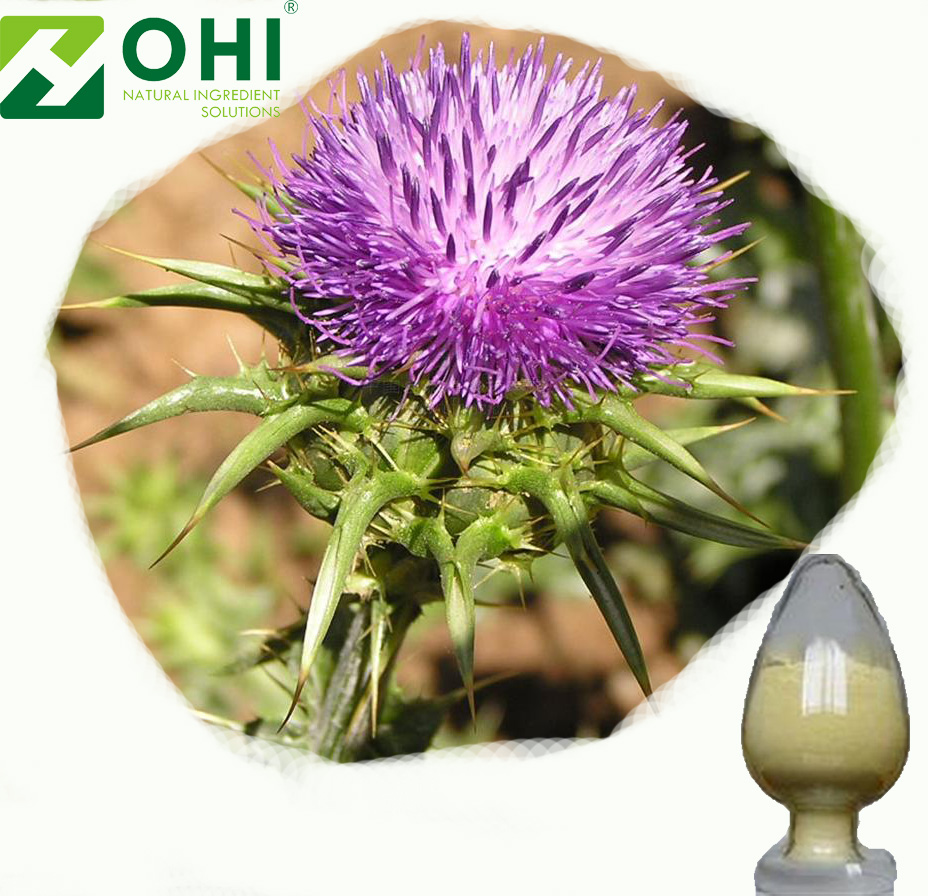 Milk Thistle Extract