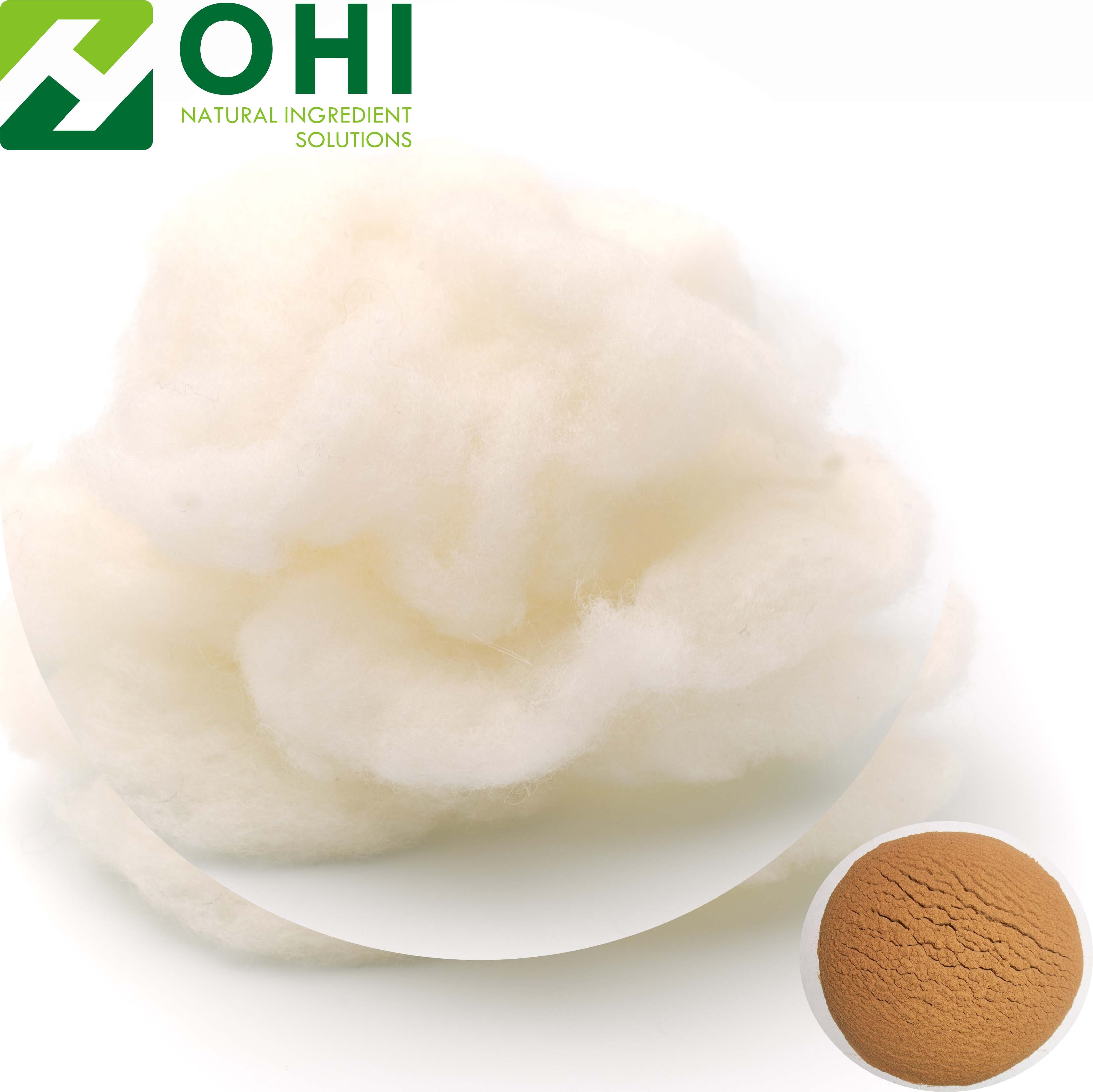 Wool Keratin extract