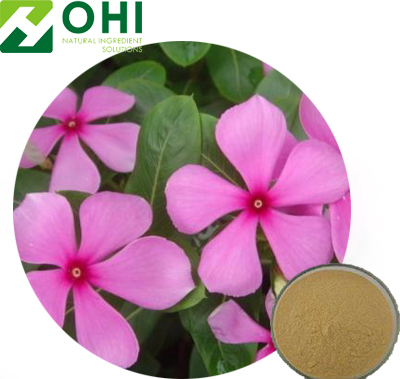 Vinca Minor L