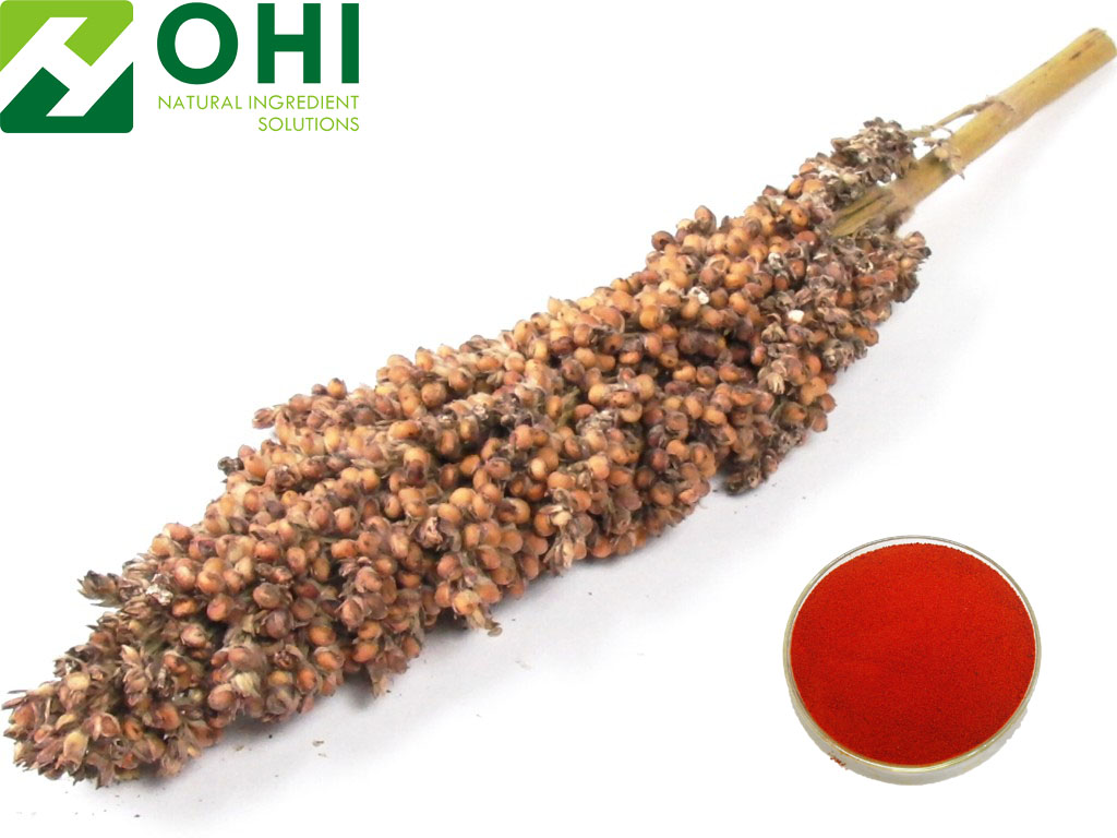 Sorghum Red Pigment Extract