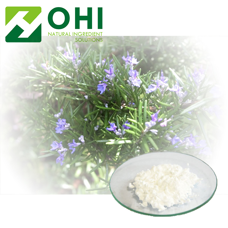 Rosemary Extract Rosmarinic Acid