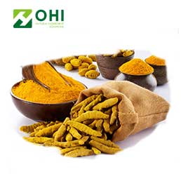Turmeric Curcuma Extract
