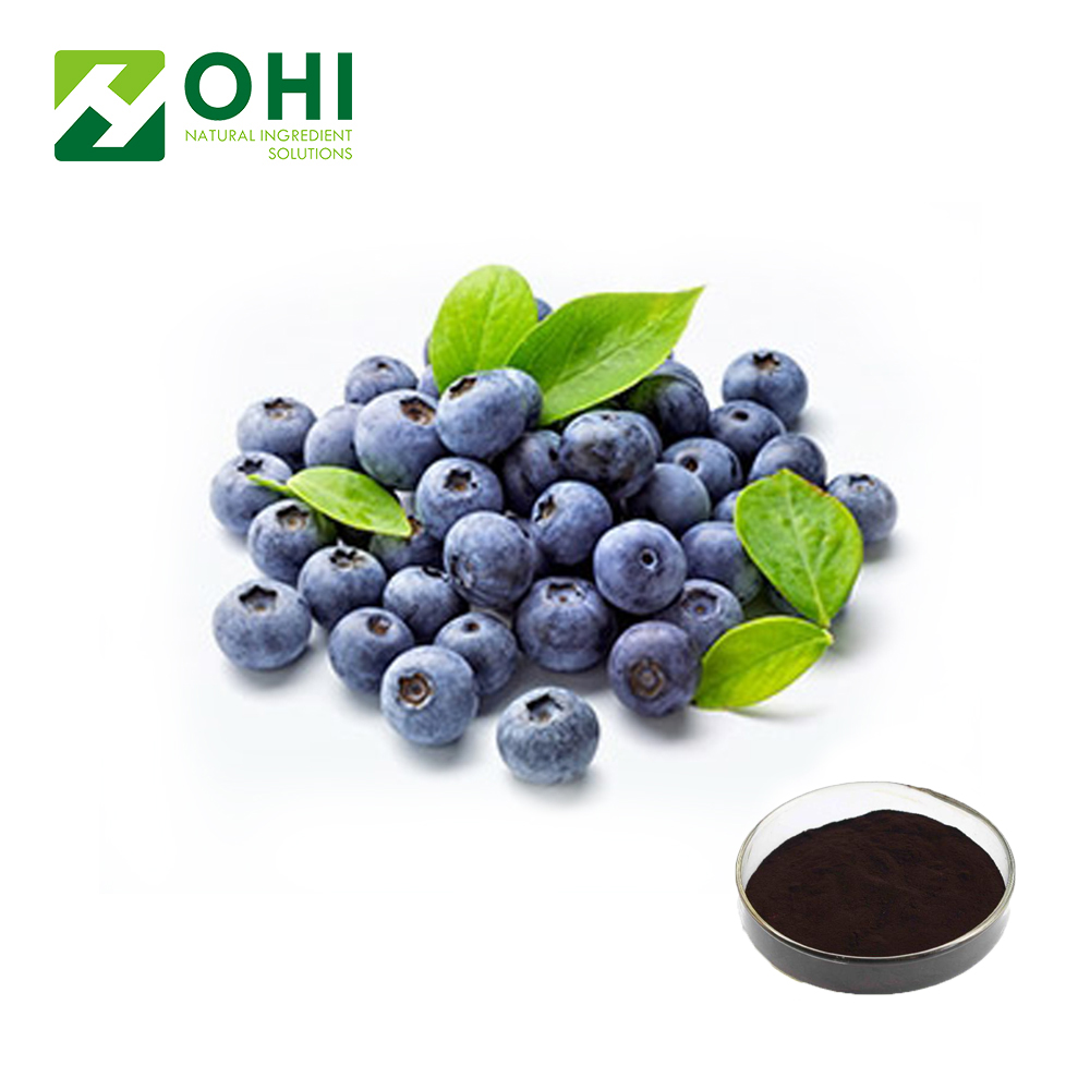 Bilberry Extract 