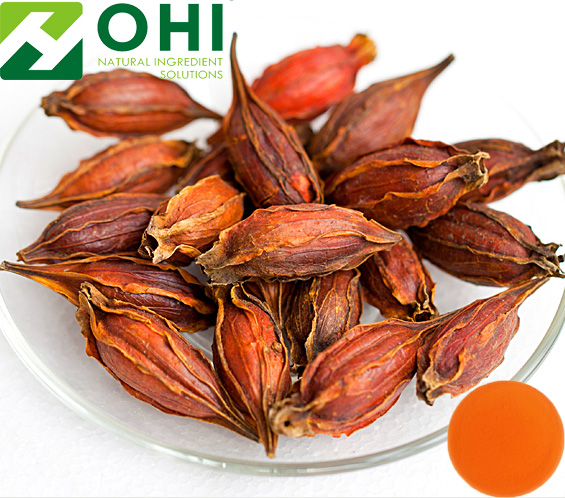 Gardenia Jasminoides Ellis Extract Yellow