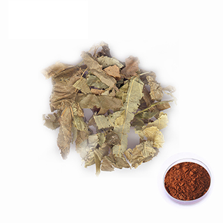 Horny Goat Weed Extract