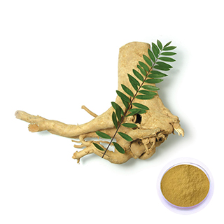 Tongkat Ali Extract 
