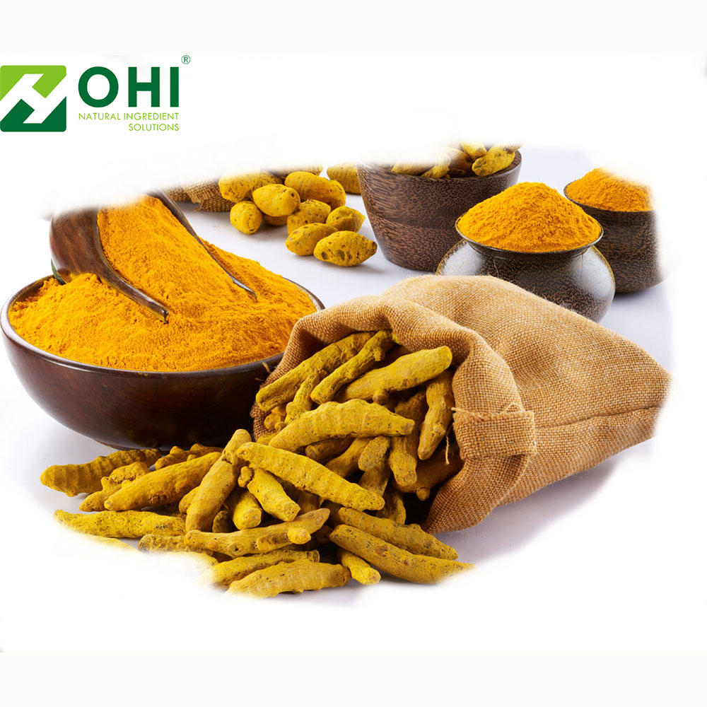 Turmeric Curcuma Extract