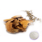 Polygonum Cuspidatum Extract